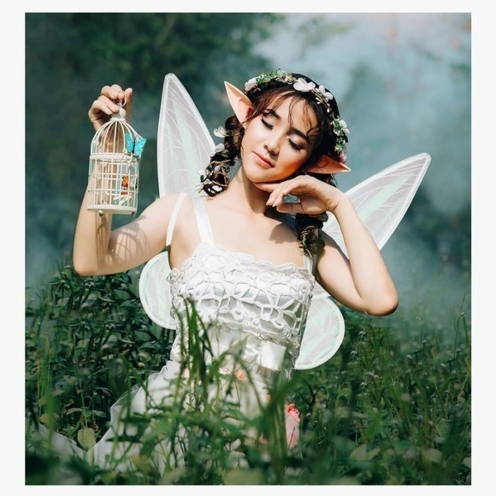 2 pcs Fairy Ears Butterfly Fairy Wings Costume adult costume child costume elf